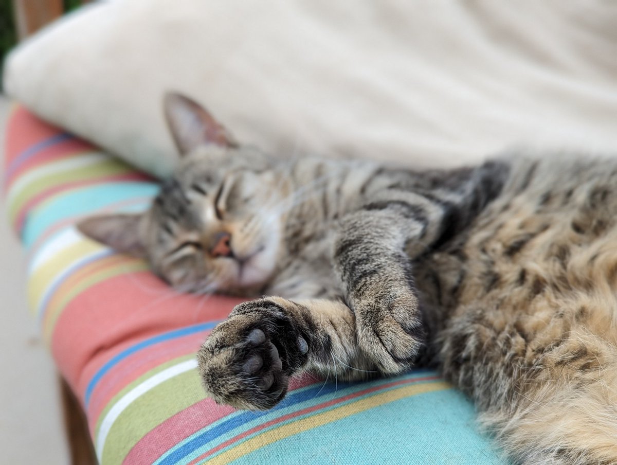 Leigh Anne Riedman tweet media