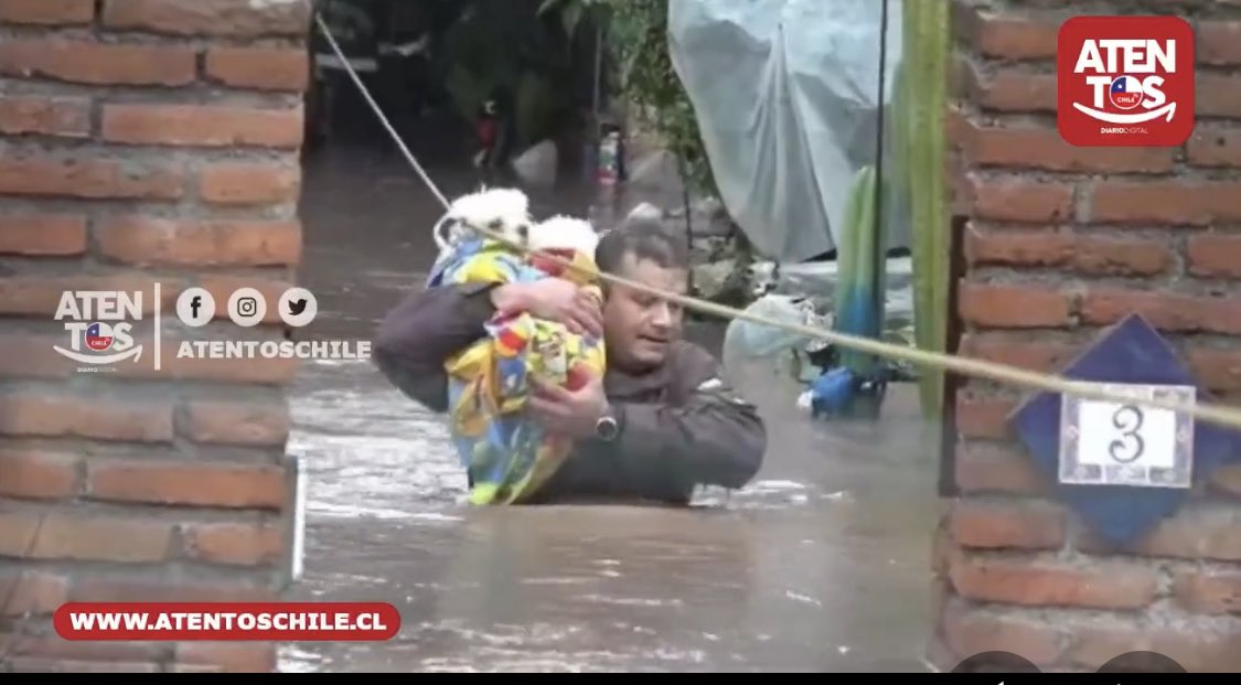 Oye pero para el apruebazo eran caletas !!!!