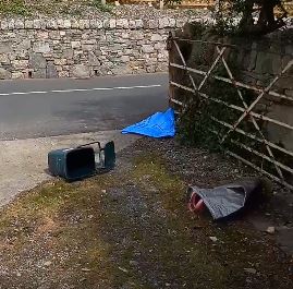 Major Apollo Tom tweet media