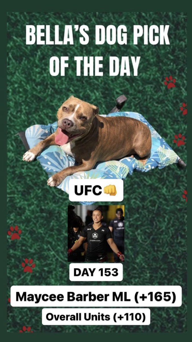 TheLocksOTD's tweet photo. 🐶BELLA'S DOG LOCK OTD🐶
🔥BELLA IS HOT🔥
‼️Overall Units +110‼️
👊🏽UFC👊🏽
Maycee Barber ML (+165)
#UFC #UFCApex #Topuria #Emmett #Bella #Dog #Dogs #DogBet #DogPicks #Free #GamblingTwitter #Gambling https://t.co/0GTSnI3t4U