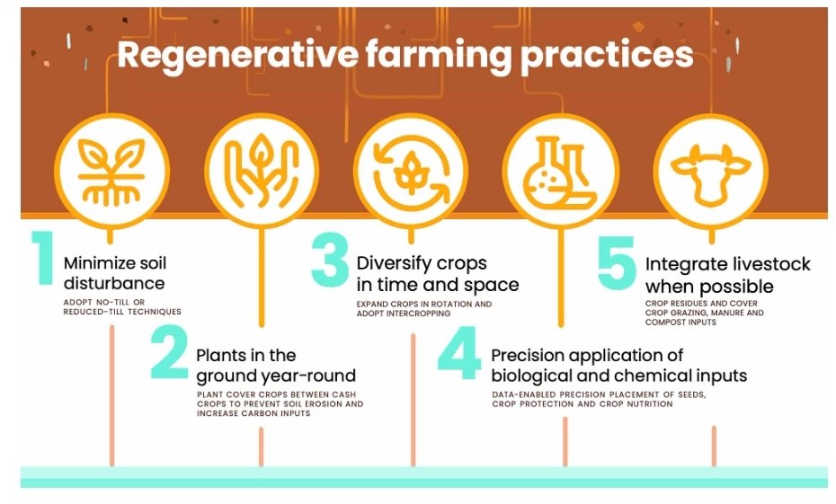 Patrick Karangwa, PhD (@p_karangwa) on Twitter photo -Conservation Agriculture = minimum/no tillage; soil cover; diversification
-Regenerative Agriculture = minimum/no tillage; cover crops; diversification; precise input use; integration of livestock.
High a time adopted, for sustainable agric!
Fact sheets: <a href="/FAO/">Food and Agriculture Organization</a> and <a href="/Syngenta/">Syngenta</a> -Conservation Agriculture = minimum/no tillage; soil cover; diversification
-Regenerative Agriculture = minimum/no tillage; cover crops; diversification; precise input use; integration of livestock.
High a time adopted, for sustainable agric!
Fact sheets: <a href="/FAO/">Food and Agriculture Organization</a> and <a href="/Syngenta/">Syngenta</a>