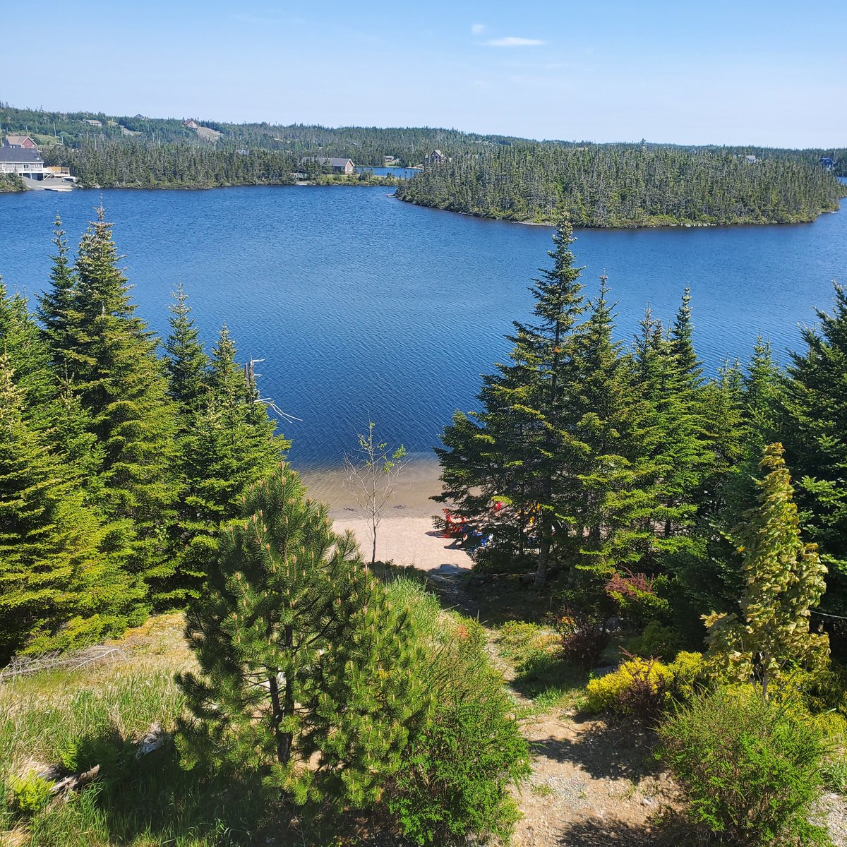 Trevor Budgell tweet media