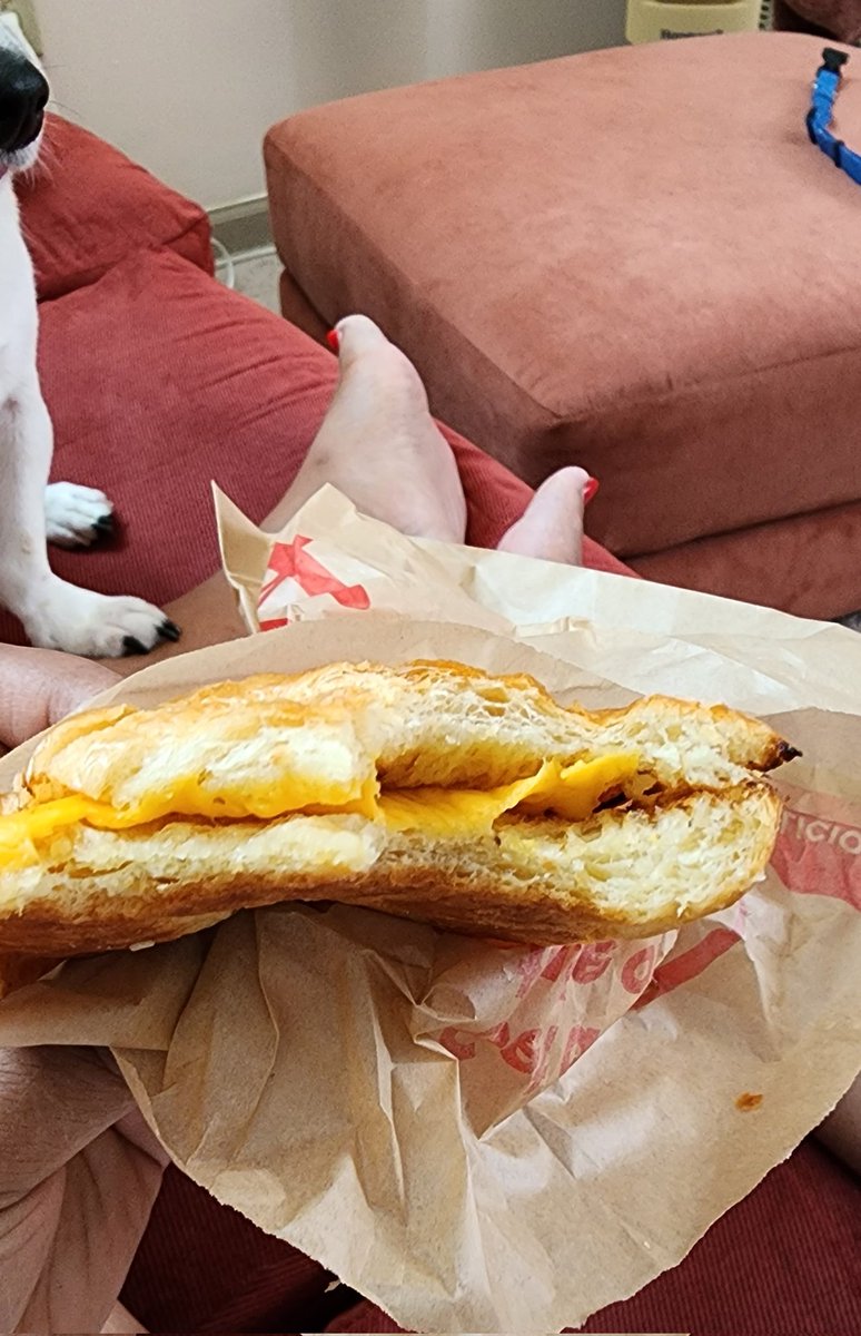 rafabrew's tweet photo. What's up @TimHortons I ordered a double egg and cheese sandwich on a croissant and it came with ZERO EGG, just a slice of cheese. What even??? https://t.co/e4H9MbaDnT