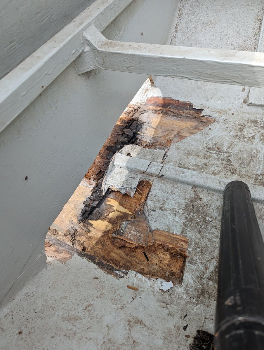 Maverick V tweet media