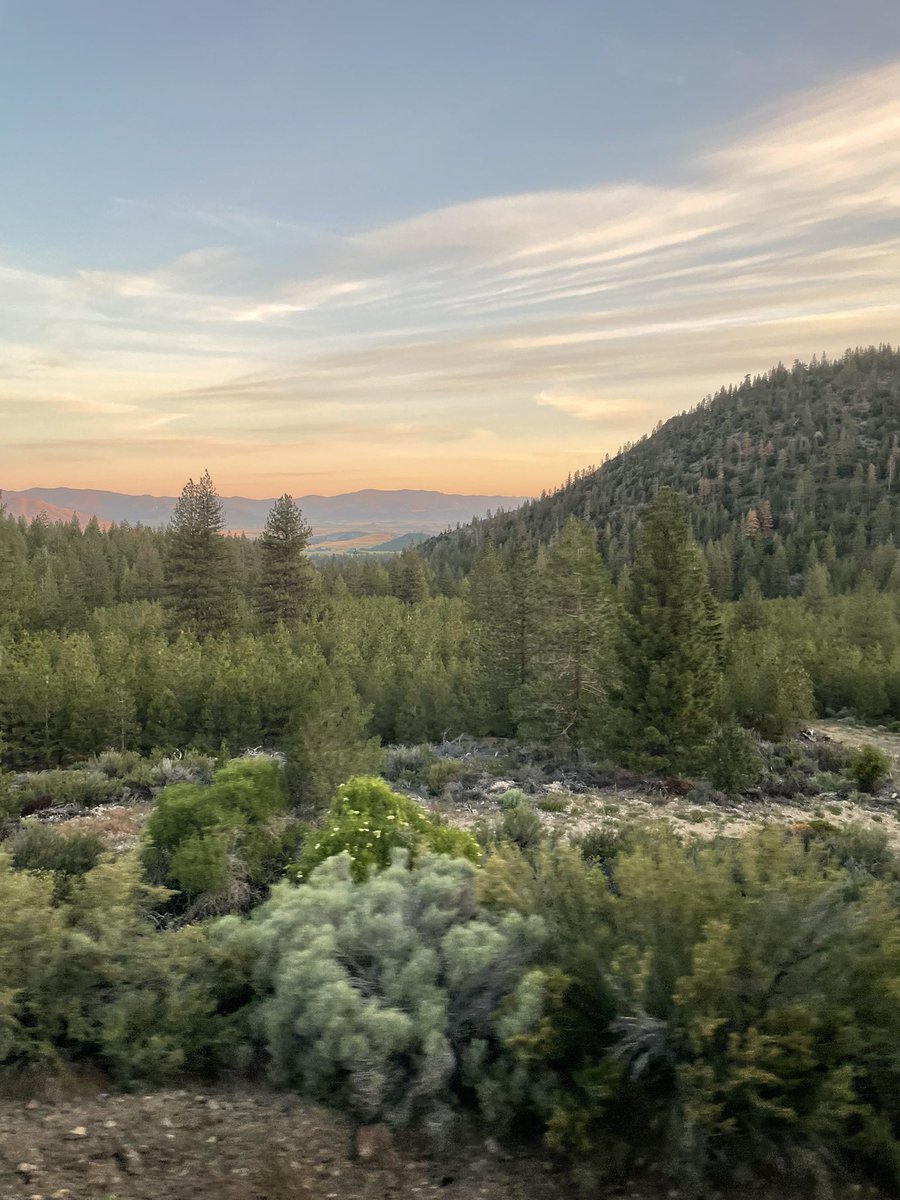 Fleur DeVillainy, fantasy romance writer & artist tweet media