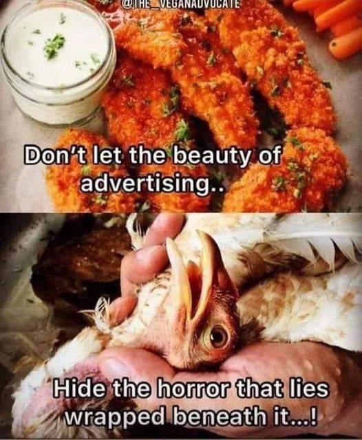 PrancerPaw's tweet image. We need #TruthInAdvertising #BanFactoryFarming #ItsNotFoodItsViolence
