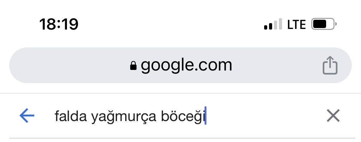 Anneme fal bak demişimdir, yağmurça böceği görmüştür. Bırak falı gerçek hayatta gördüm mü acaba ben 😂