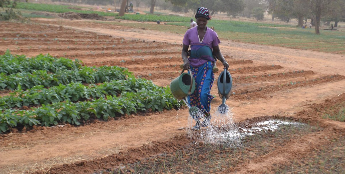 IyendaOfficiel's tweet image. DÉPUTÉ DE LA RUE :
===============
Après nos ESCALADES verbales et nos COLLUSIONS politiques, est-ce qu'on peut s'asseoir autour d'une table pour discuter sur la question de l'AGRICULTURE de notre pays ?

#BATISSONS un CONGO plus beau qu'avant !