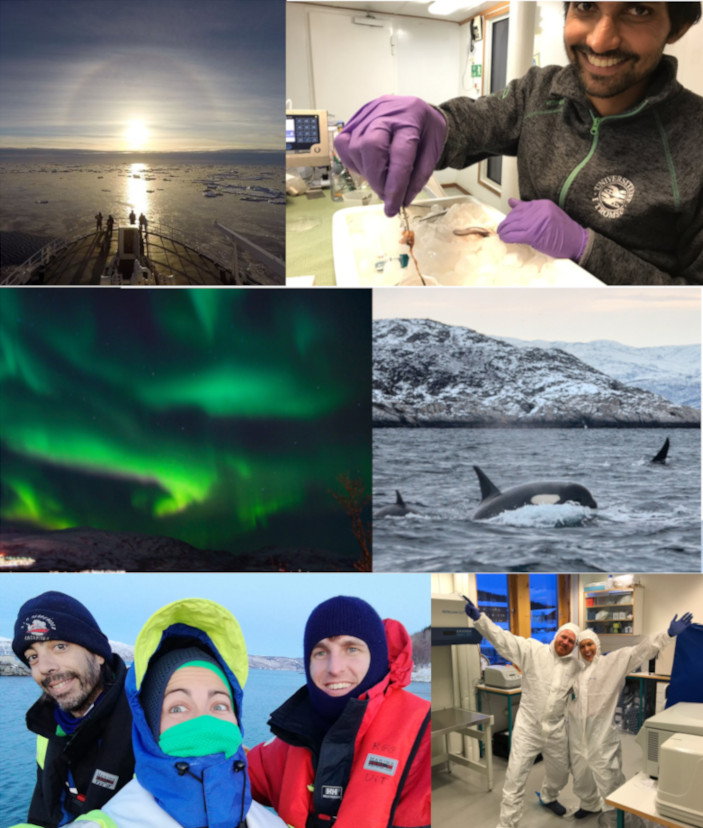 Kim Praebel (@kpraebel) on Twitter photo Interested in being our new colleague? We have a permanent Associate Professor position with focus on #eDNA, #metagenomics, #molecularecology, #environmentalgenomics available within our group <a href="/UiTGenetics/">UiTGenetics</a> <a href="/UiTNorgesarktis/">UiT Norges arktiske universitet</a>
Apply here: jobbnorge.no/en/available-j…
Please RT🙏 Interested in being our new colleague? We have a permanent Associate Professor position with focus on #eDNA, #metagenomics, #molecularecology, #environmentalgenomics available within our group <a href="/UiTGenetics/">UiTGenetics</a> <a href="/UiTNorgesarktis/">UiT Norges arktiske universitet</a>
Apply here: jobbnorge.no/en/available-j…
Please RT🙏