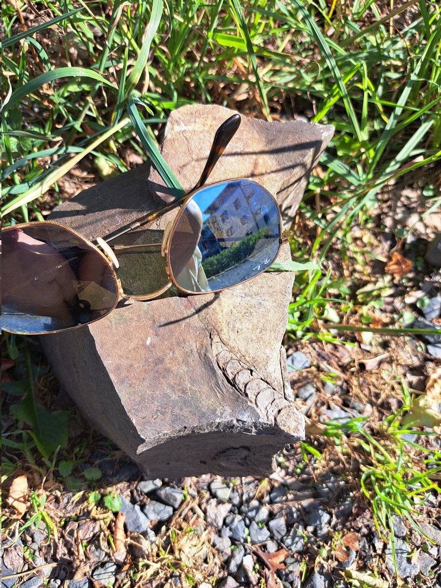 Vayanna Makri tweet media