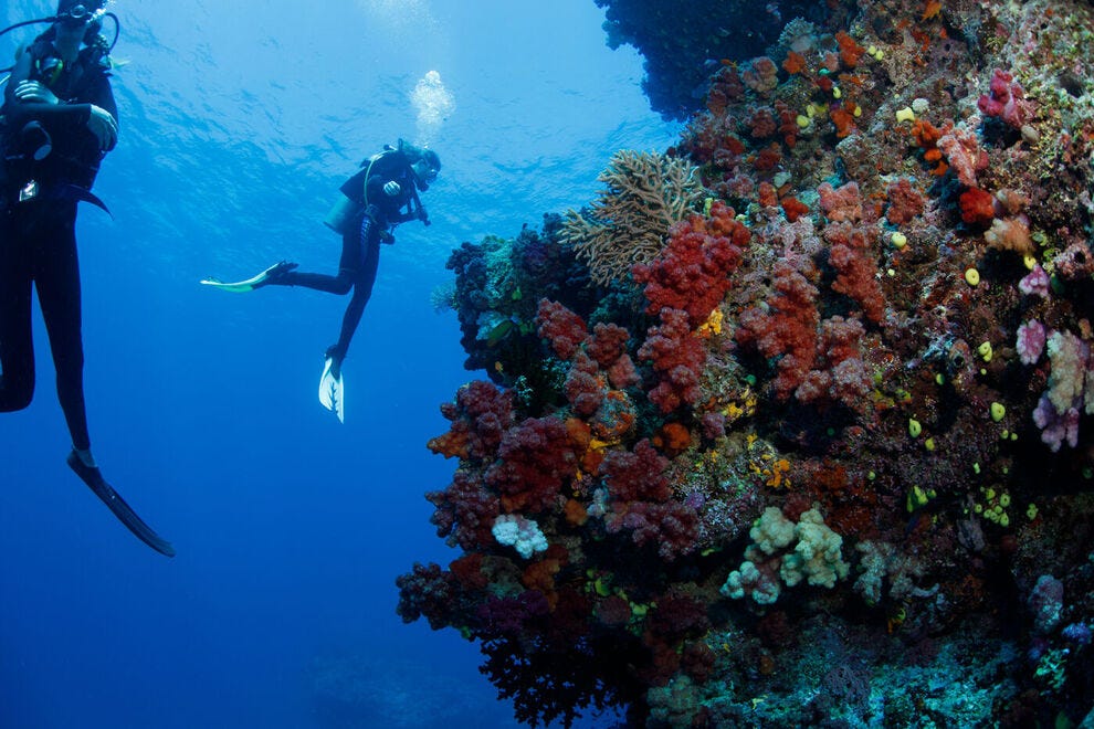 Fiji is the perfect place to go snorkeling or scuba diving. #beach #scenicviews  cpix.me/a/172245375