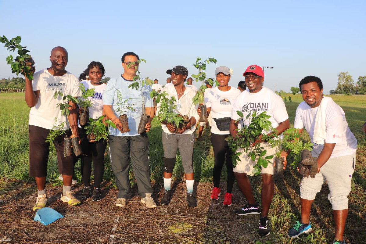 TUMKwaleCampus's tweet photo. Earlier today, TUM Kwale Campus partnered with Diani Walkers for a tree planting exercise at the campus ground.
Tree planting is part of Diani Walkers objective as they join efforts in mitigating climate change under their slogan #AStep4OneHealth. https://t.co/rDYVWfiBzE