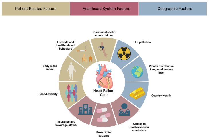 Richardkcheng2's tweet photo. Factors involved in regional variation on a patient-related, healthcare system and geographic level https://t.co/bJd73aZs8Q