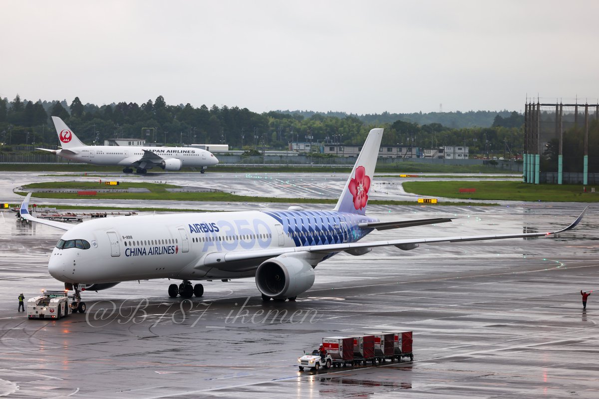 人魚さんやっと撮れた〜〜🧜‍♀️✈️
#ChinaAirlines
#A350