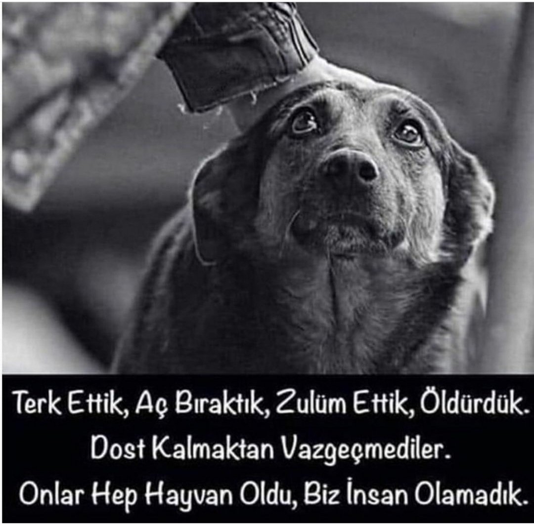 meneksecicegi1's tweet photo. İnsan görünümlere gelsin.. https://t.co/v31YHYxwqC