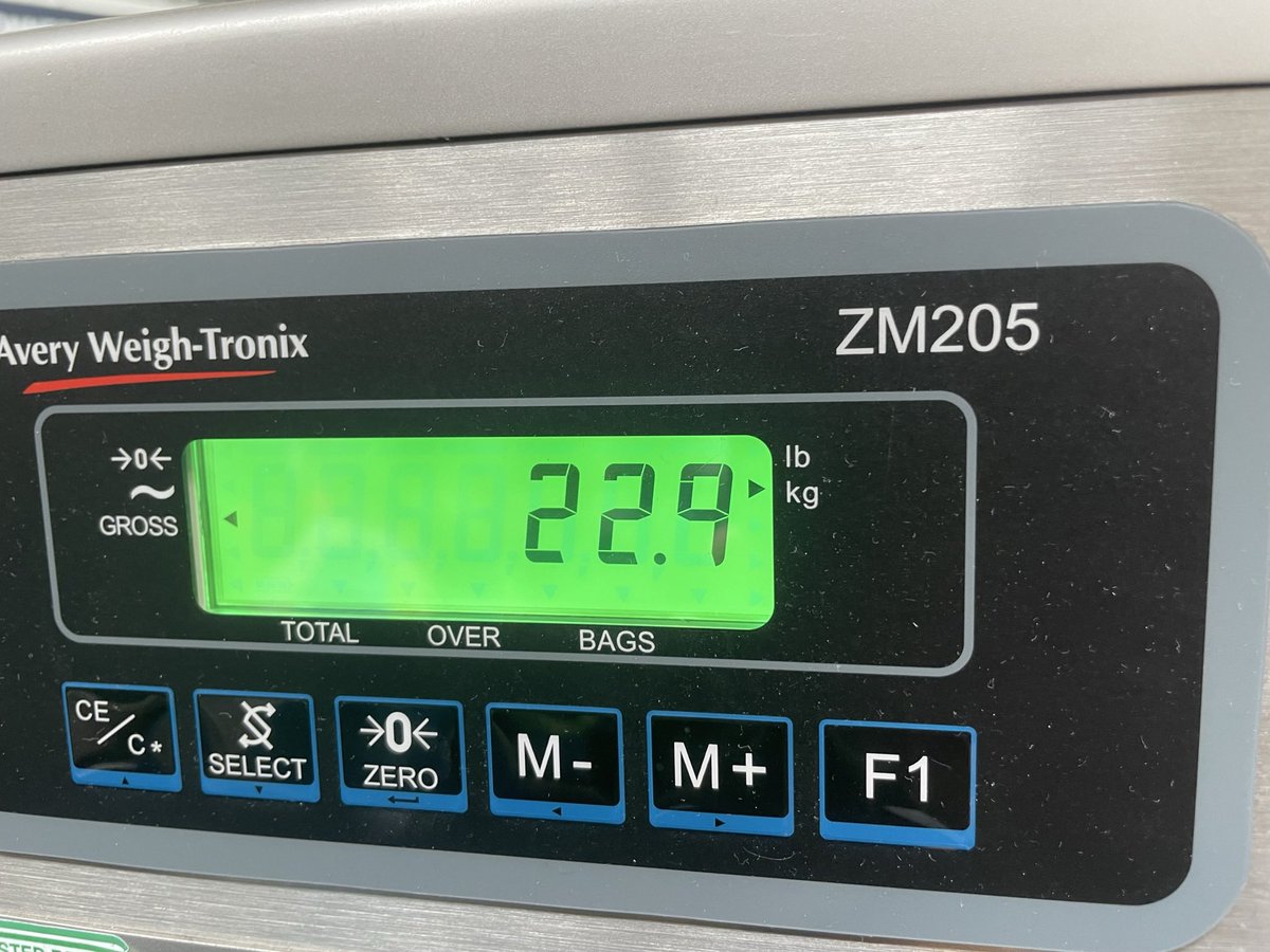 seebeneathesea's tweet photo. Boom! I am an #expertpacker ✈️ https://t.co/KZG8pvraqt