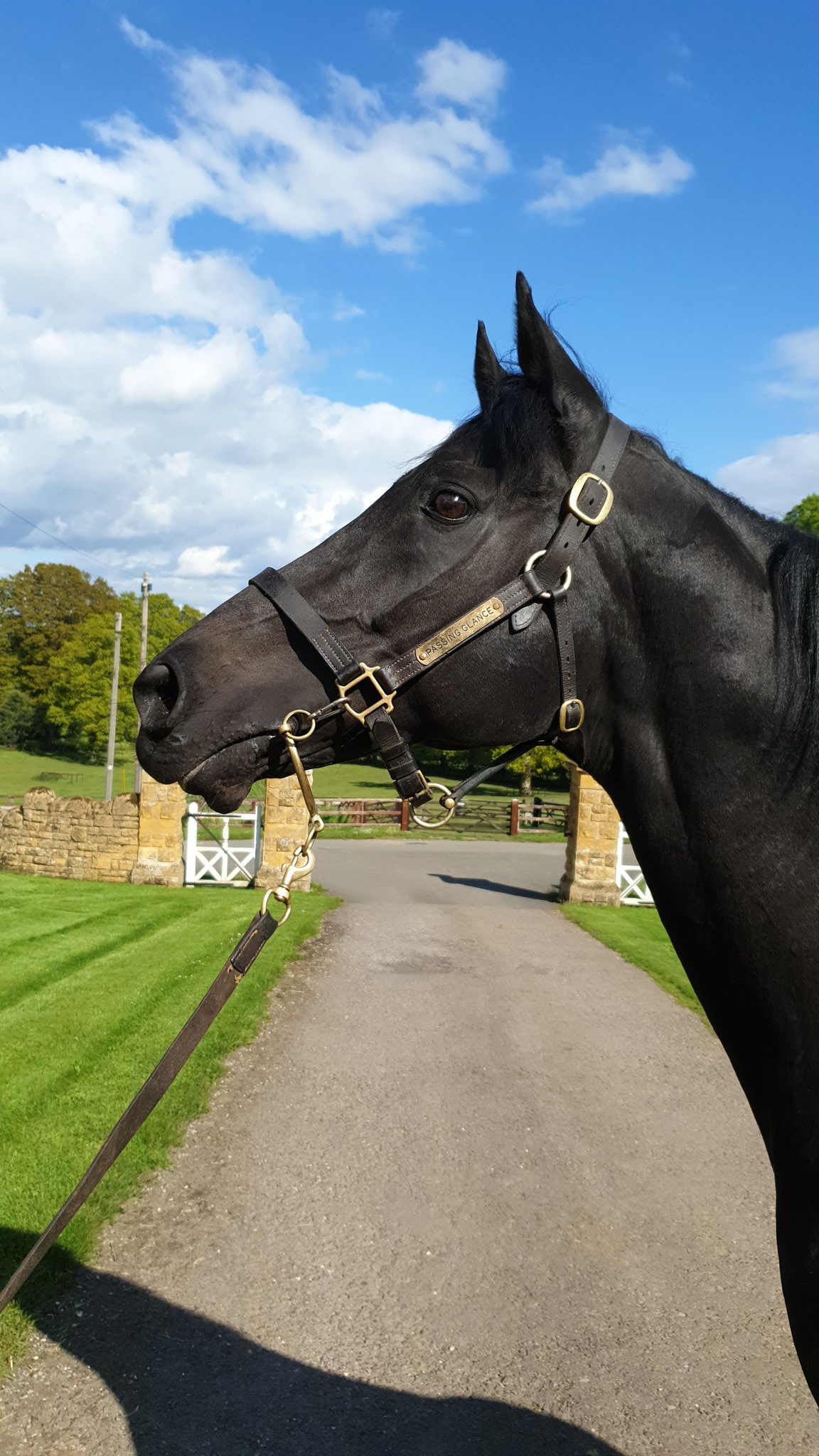 DJ Jeffreys Racing (jeffreys_racing) / Twitter