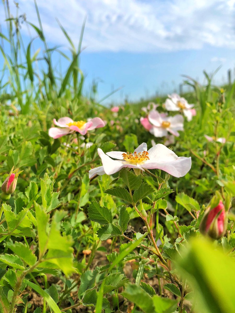 福利姬Wendy分享的黄推图片1 - 网红私拍内容