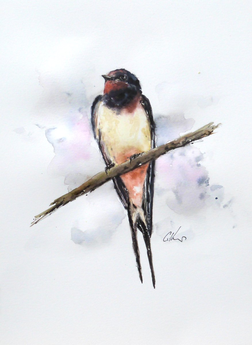 Swallow, watercolour.
#watercolour