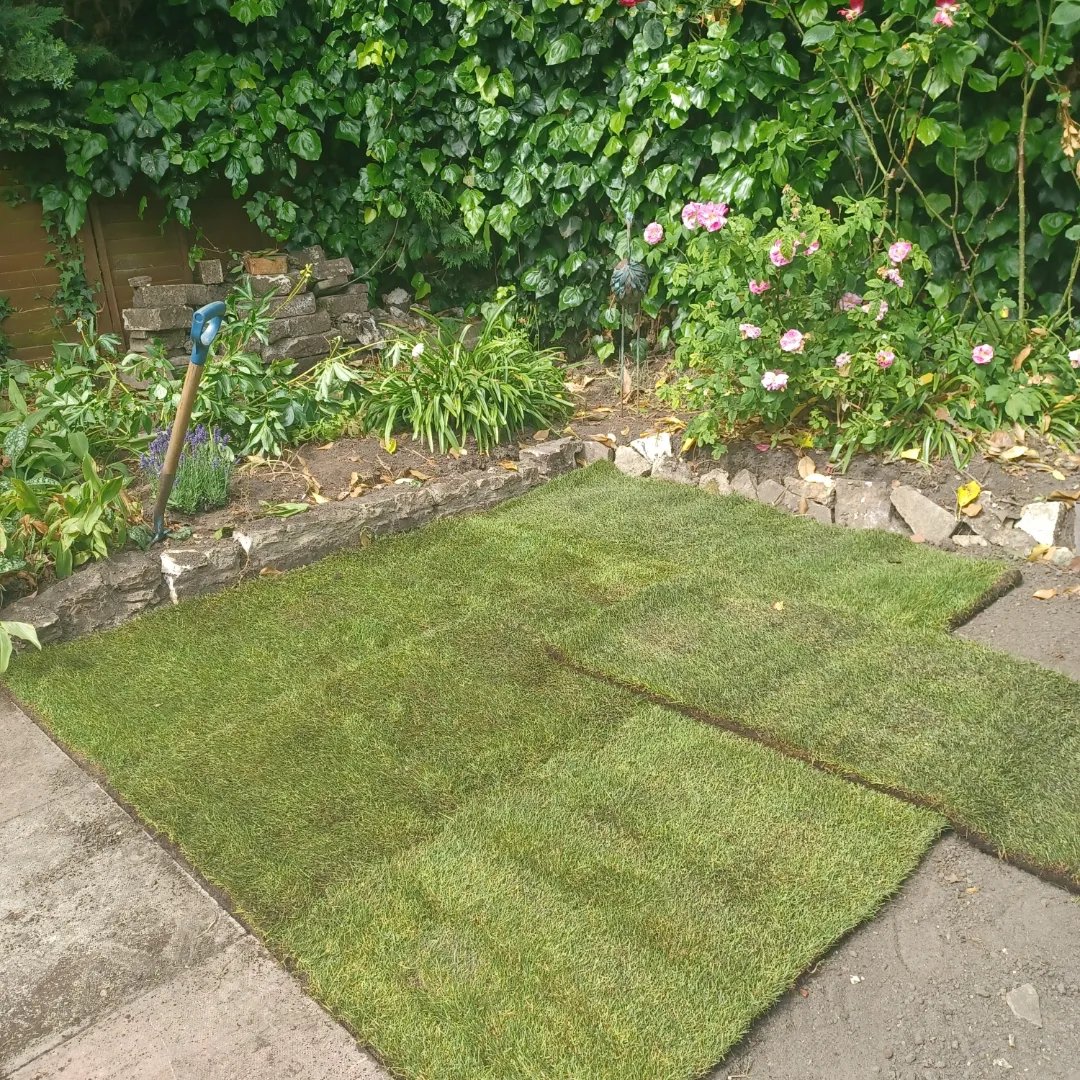 @capabilitycharl @The_Blue_Cross @DogfestUK New lawn laid today. Dog had a wee within 30 seconds