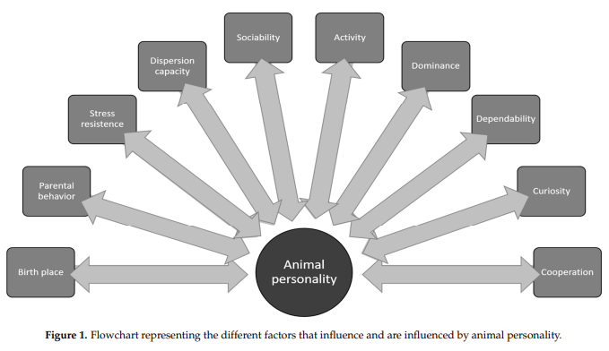AnimBehSociety's tweet photo. Every week, the @AnimBehSociety highlights articles in #ConservationBehavior @ConservBehavior 

Animal #personality and #conservation: Basics for inspiring new #research

Article in @Animals_MDPI by Azevedo &amp; Young: https://t.co/5KwOFkDVHl https://t.co/Tb2zw4iSbs