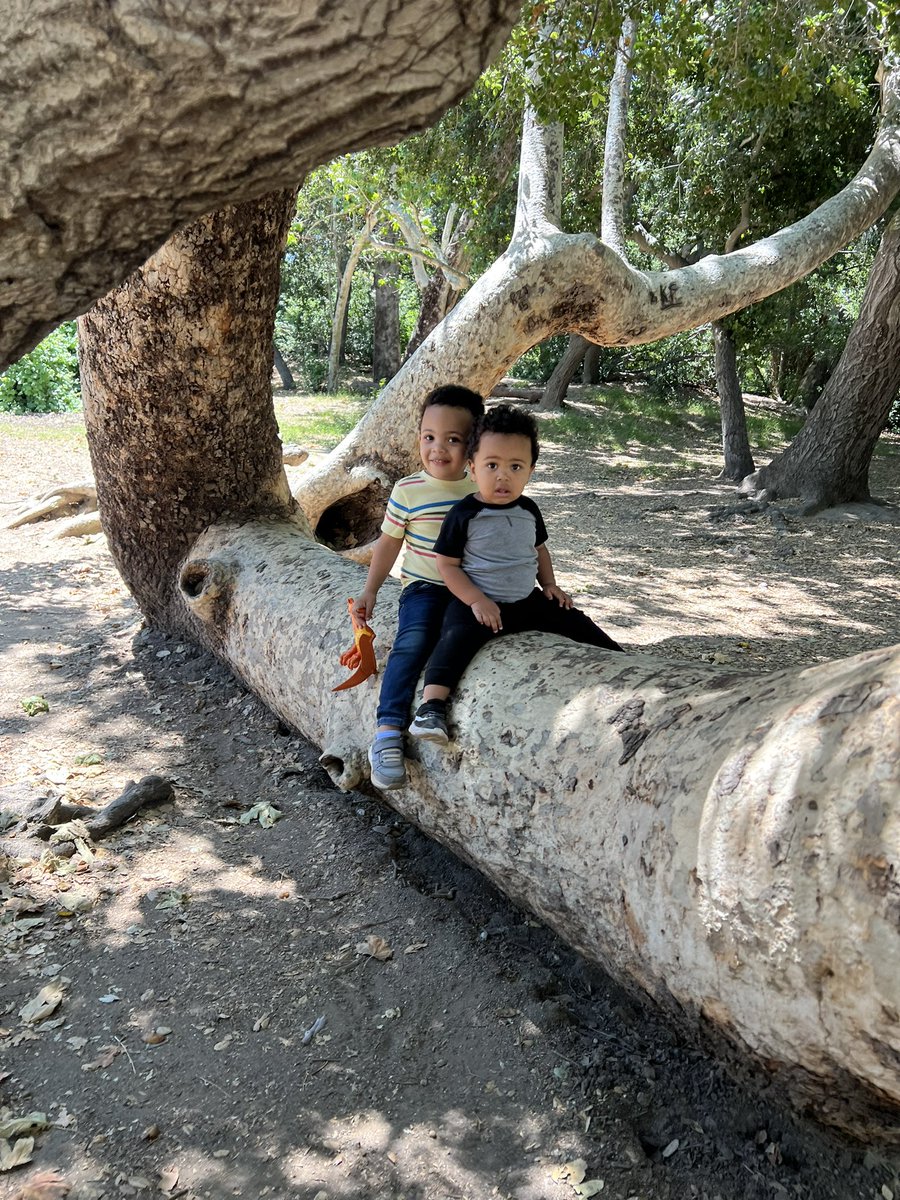 delkansiime's tweet photo. These two little explorer boys would love if our family of 4 had an RV that our family could use to see the world! What great memories they would grow up with 🤩 @marcuslemonis @CampingWorld #CampingWorld #CampingWorldSummer https://t.co/uBuMivf27A