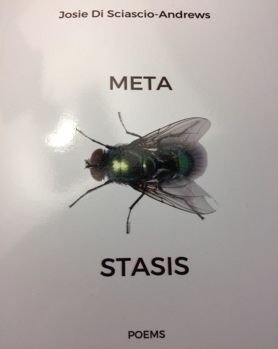 In celebration of June as Italian Heritage Month we would like to recognize AICW member Josie Di Sciascio-Andrews for the publication of her latest book Meta Stasis by Mosaic Press (2021).