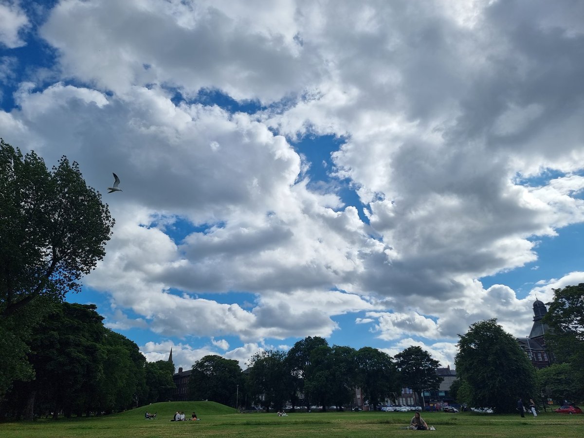 PaulDixon1875's tweet photo. Gorgeous sky π
#Leithlinks https://t.co/5pA9ZNG4sf