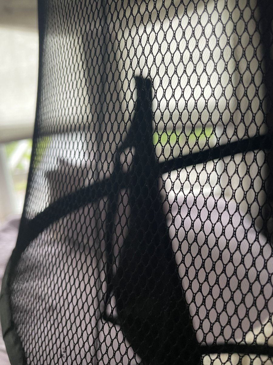 Shockmain's tweet image. It’s been a while since I’ve unlatched a bra. #laundryproblems