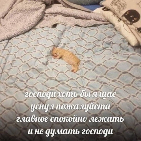 liltonder's tweet photo. https://t.co/uJGJrDCC7M