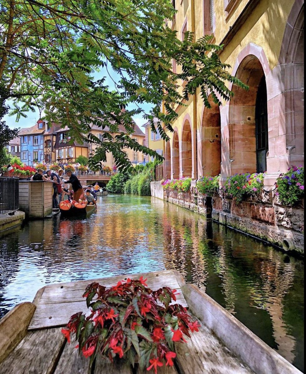 Colmar, France 
#city #colmar #france #Twitter #photography #nature #Travel #destinations #naturelovers #travelphotography #cityscape #summer #Scenery