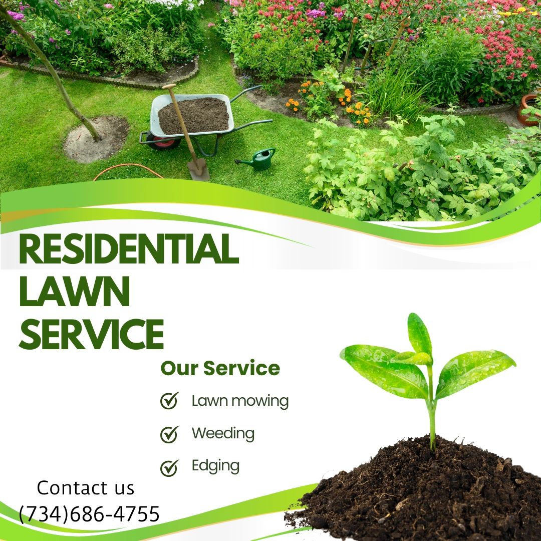 illsellit's tweet photo. Beautification of your Neighborhood 🌲🌳🌷

#turnerrealty #lawncare #realestate #puremichigan #smallbusiness https://t.co/Z2slpVPxsD