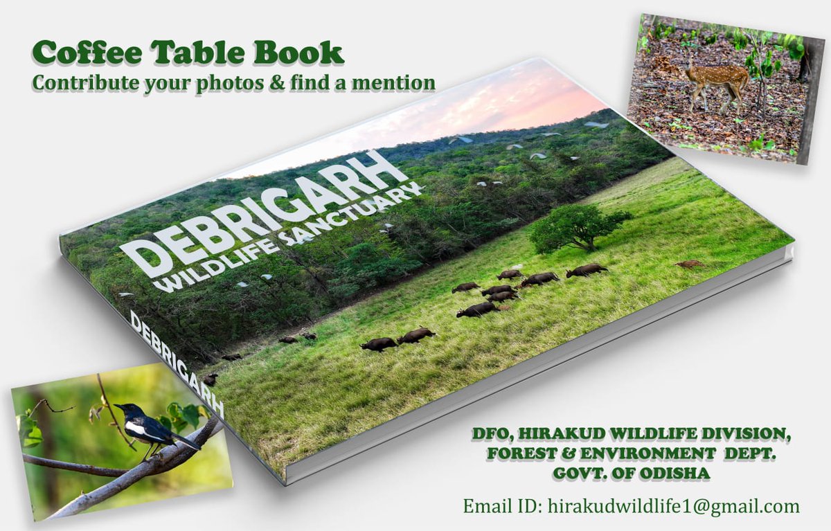 📢 
#DebrigarhWildlifeSanctuary is coming out with a Coffee Table Book.
Send high res pics of Debrigarh (Min 5Mb) taken after 2020,to:
hirakudwildlife1@gmail.com
Selected entries will get featured with photo credits.
Last date: *30th July'23*
#HirakudWildlifeDivision
@ForestDeptt