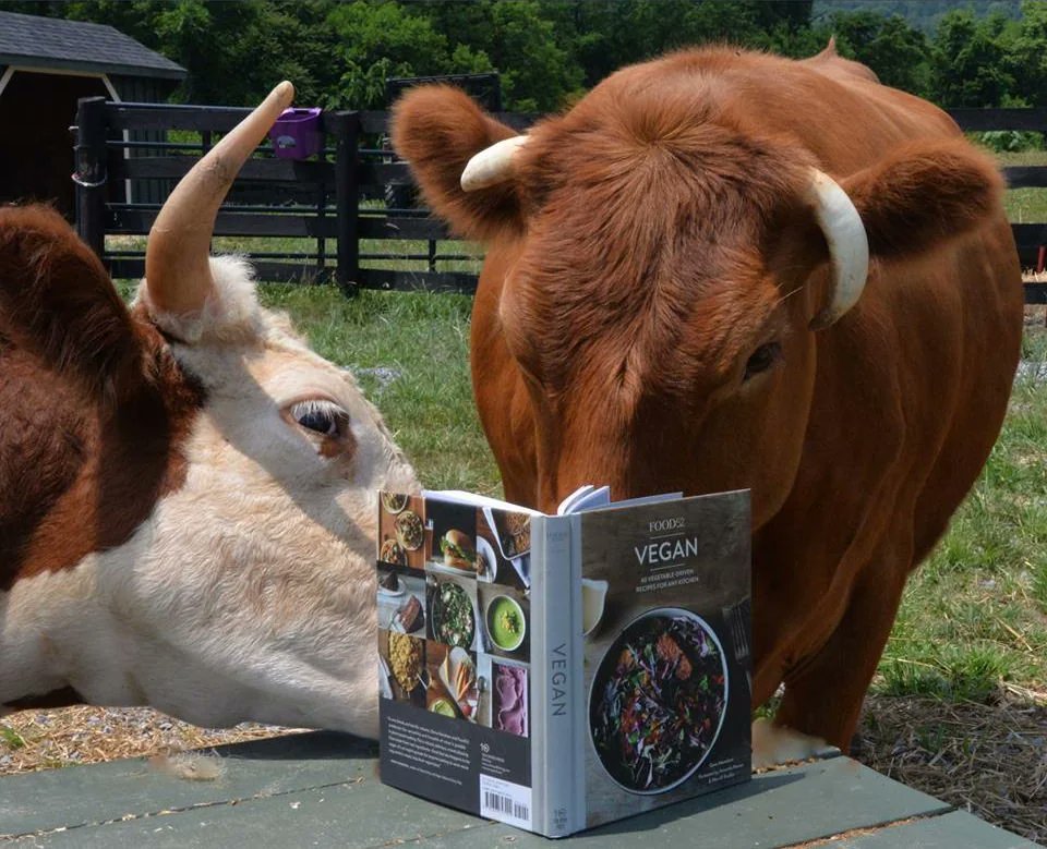 "We’re not in this one either!”
#GoVegan #Vegan