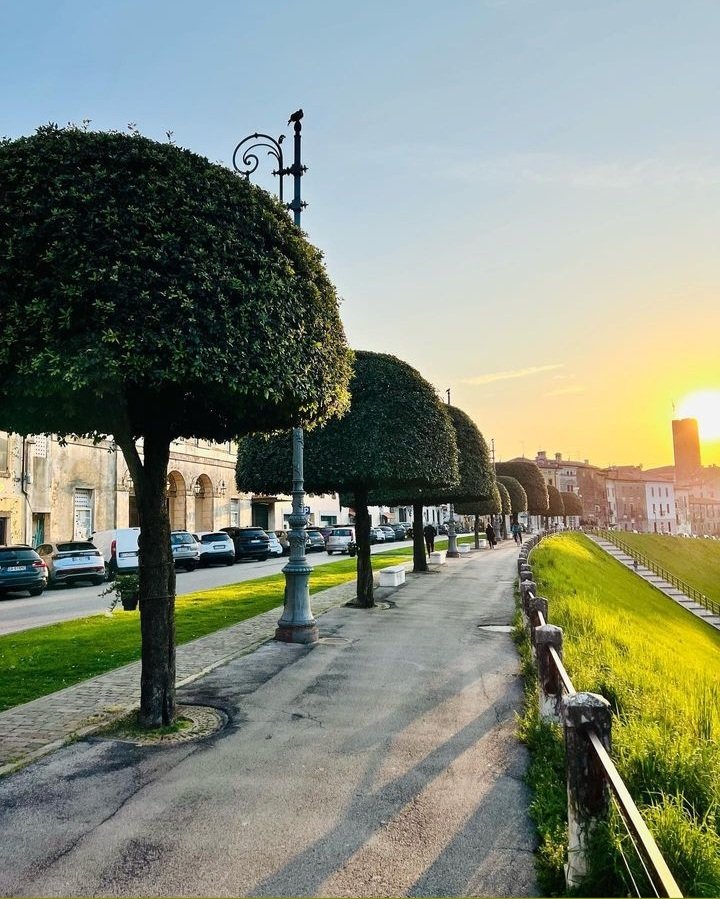 Buona serata 🌇🤩

Ph. Ig riki_dou_bra

#visitbassano #bassanodelgrappa #vicenza #veneto #visitveneto #italy #visititalia #thelandofvenice #sunset #sunsetlovers