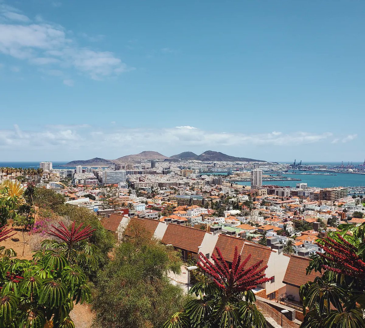 TomesAndTravel's tweet photo. Thank you Las Palmas for another amazing holiday 😍 https://t.co/zUm9DIAXIp https://t.co/56sxj6RCfU