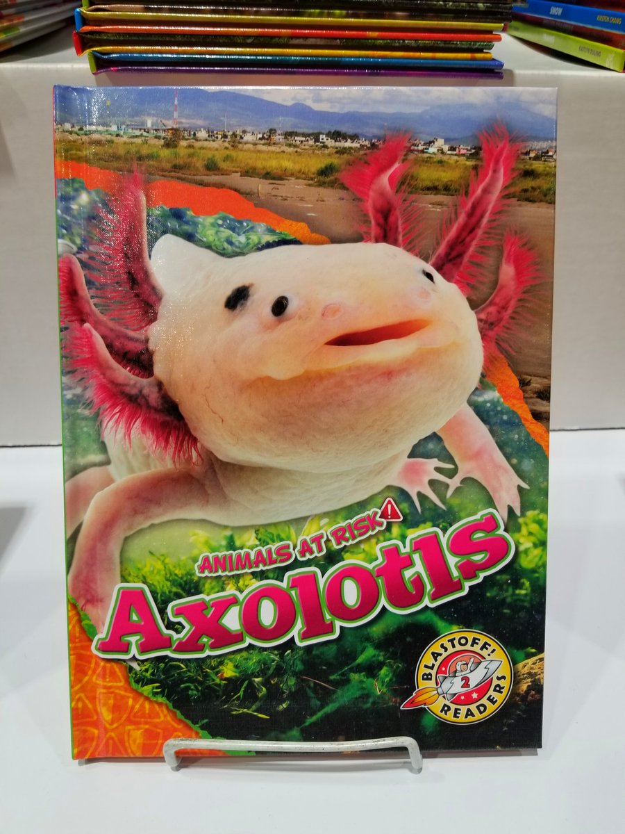 What is it about axolotls? 🙂#ALAAC2023