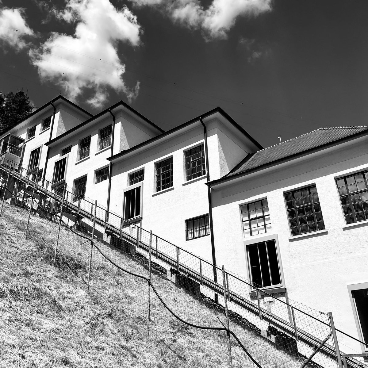 David Rooney tweet media