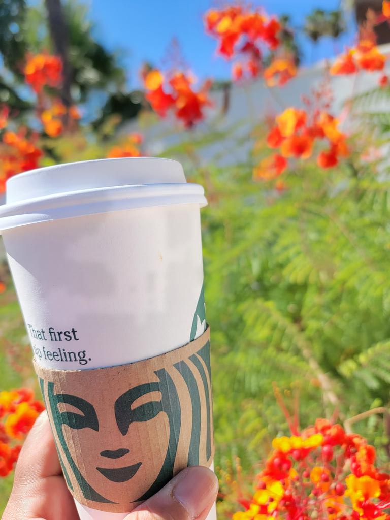 That first sip 😍☕💚
#Starbucks #SummerVibes #PostForPencils