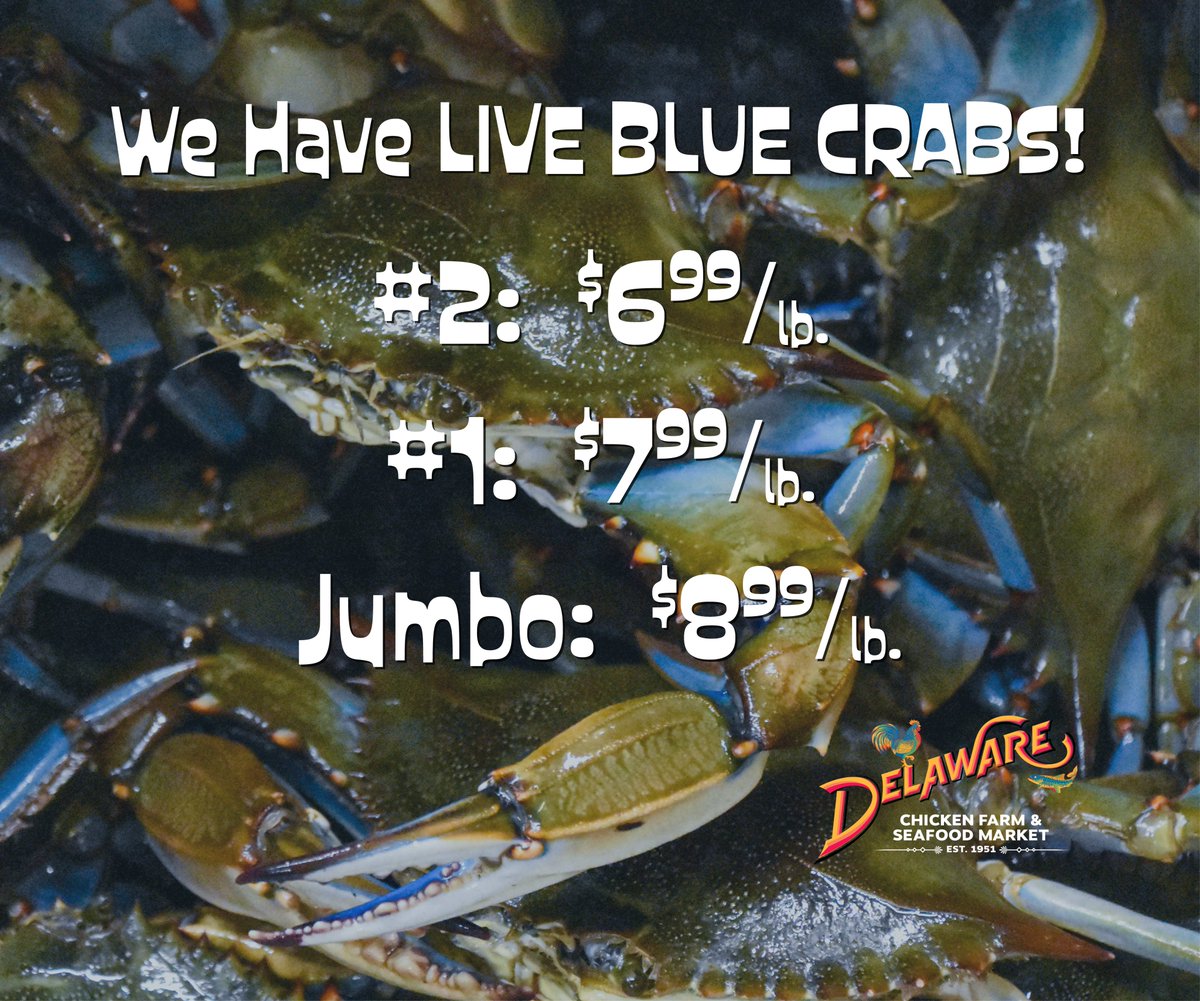 WE HAVE LIVE BLUE CRABS!  Get 'em while they last!  Call (954) 983-6831 to place your order now! #LiveBlueCrabs #AllSizes #ThinkFreshThinkDelaware #DelawareChickenFarmAndSeafoodMarket