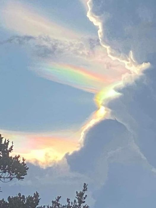 A cloud iridescence, or a 'fire rainbow.'
Photo by Angela Capece