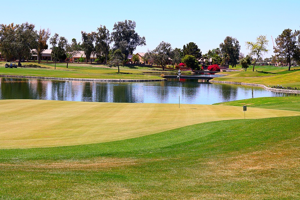 OcotilloGolf's tweet image. "My doctor told me to take my iron every day and live on greens." Challenge accepted. ⛳

#liveconnectplay #arcisgolf #golfer #golfswing #golf #arizonagolfcourse #azgolf #foursome #pxg #ping #callaway #driver #chip #putt #ocotillo #chandleraz #chandlerthingstodo