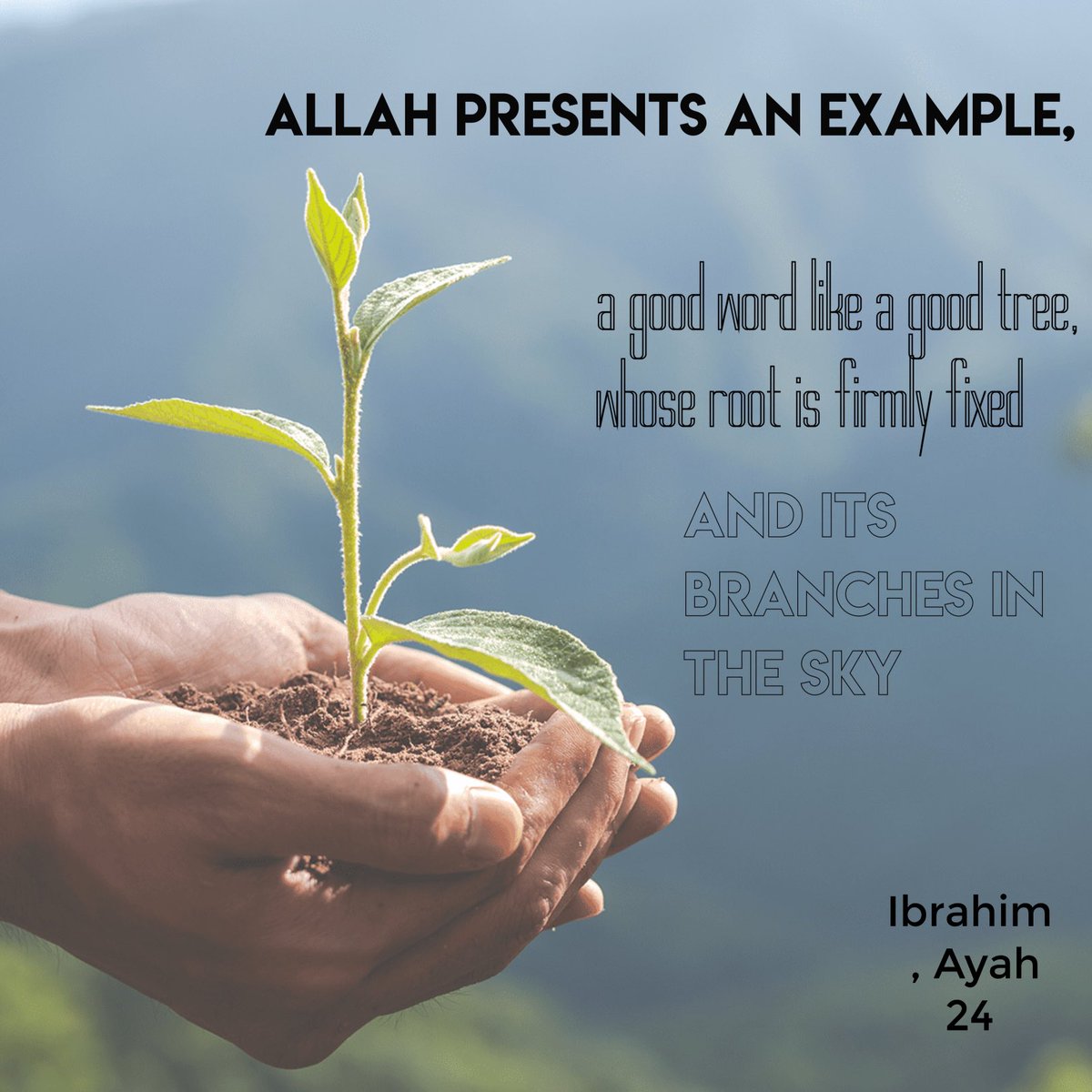 Quran_Is_light's tweet photo. https://t.co/lcgIbKpKmL