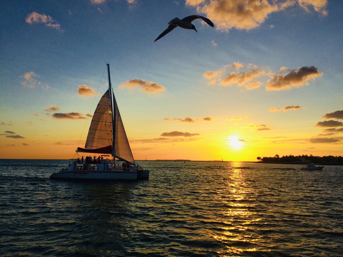 Perry Ralph on Twitter "painting. Sailing sunset in key west florida