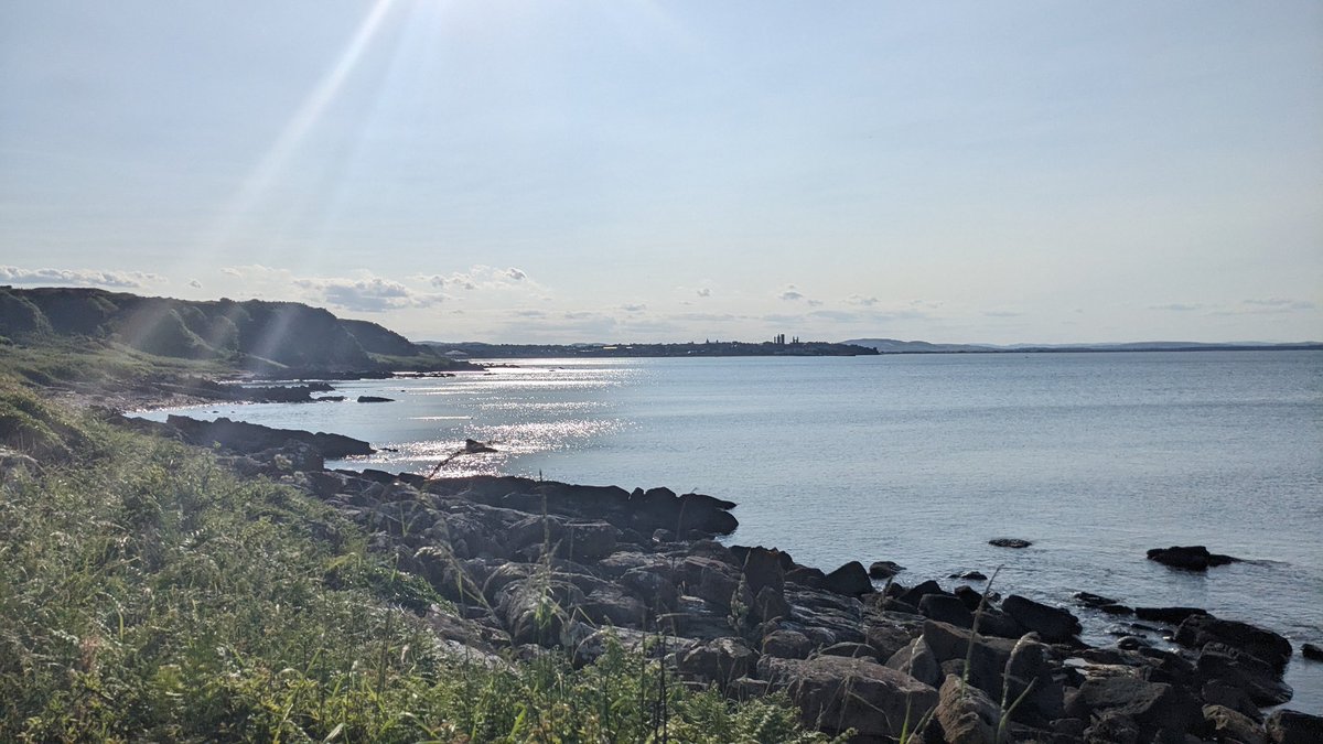 Julien Bouvier tweet media