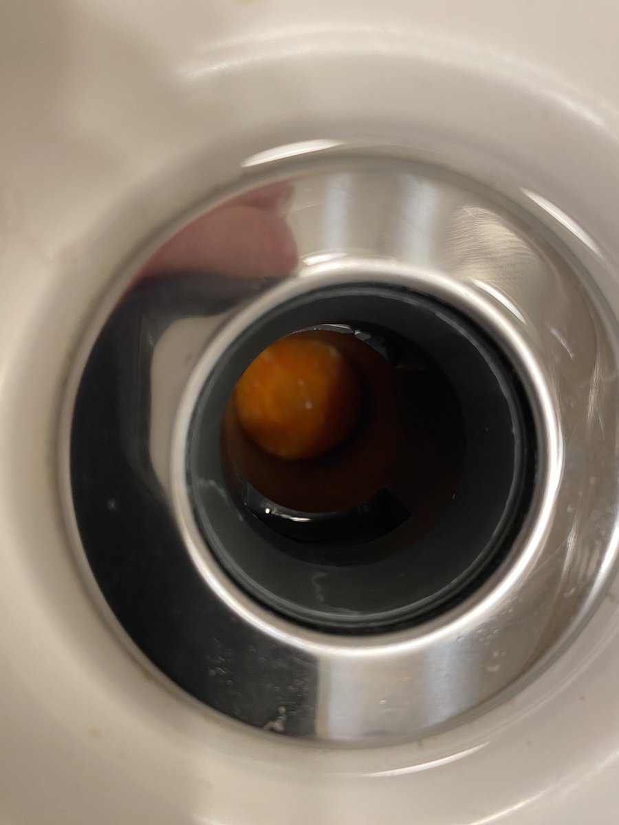That would be a carrot in the bathroom drain 🙄