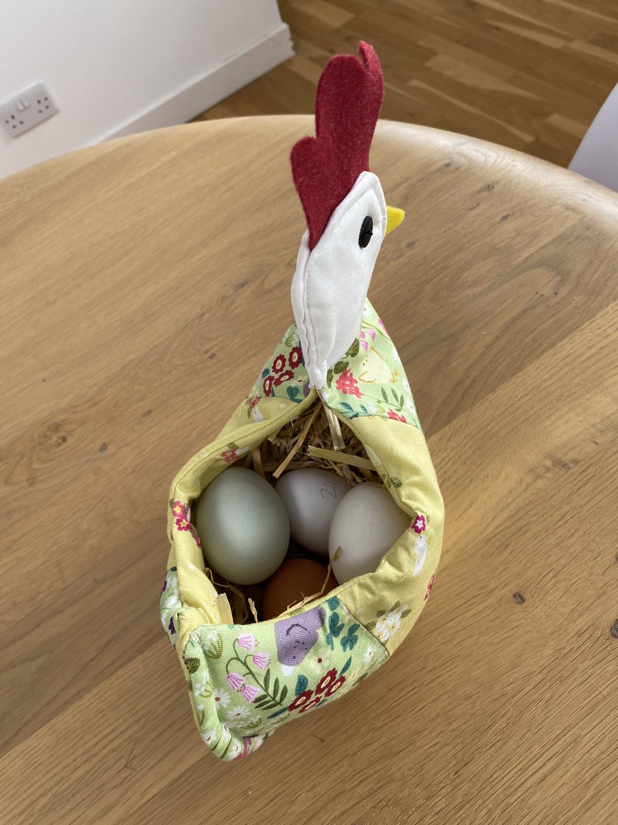Gozde786's tweet photo. I thought our girls needed something better for their eggs. 😊 #sewing https://t.co/ytXUcHA7mJ