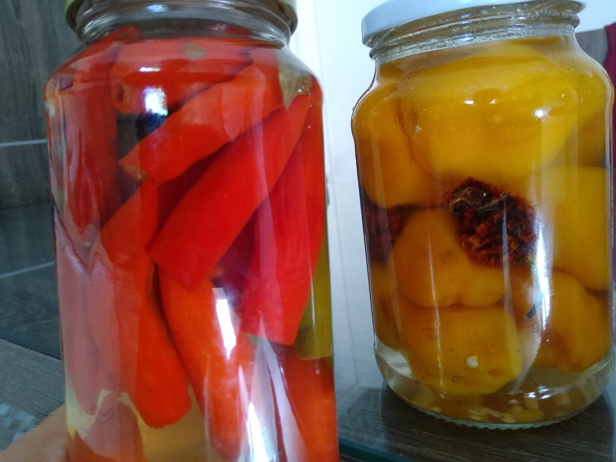 llan3R's tweet image. Left or right?