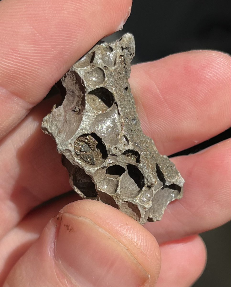 thespaceupdate's tweet image. Found this in the garden today. Dark grey bubbled stone with iron in it. 🤔 

I don’t want to jump the gun, but meteorite or not?? ☄️💫

#SpaceHour #Astrohour #TeamSpace #Meteor