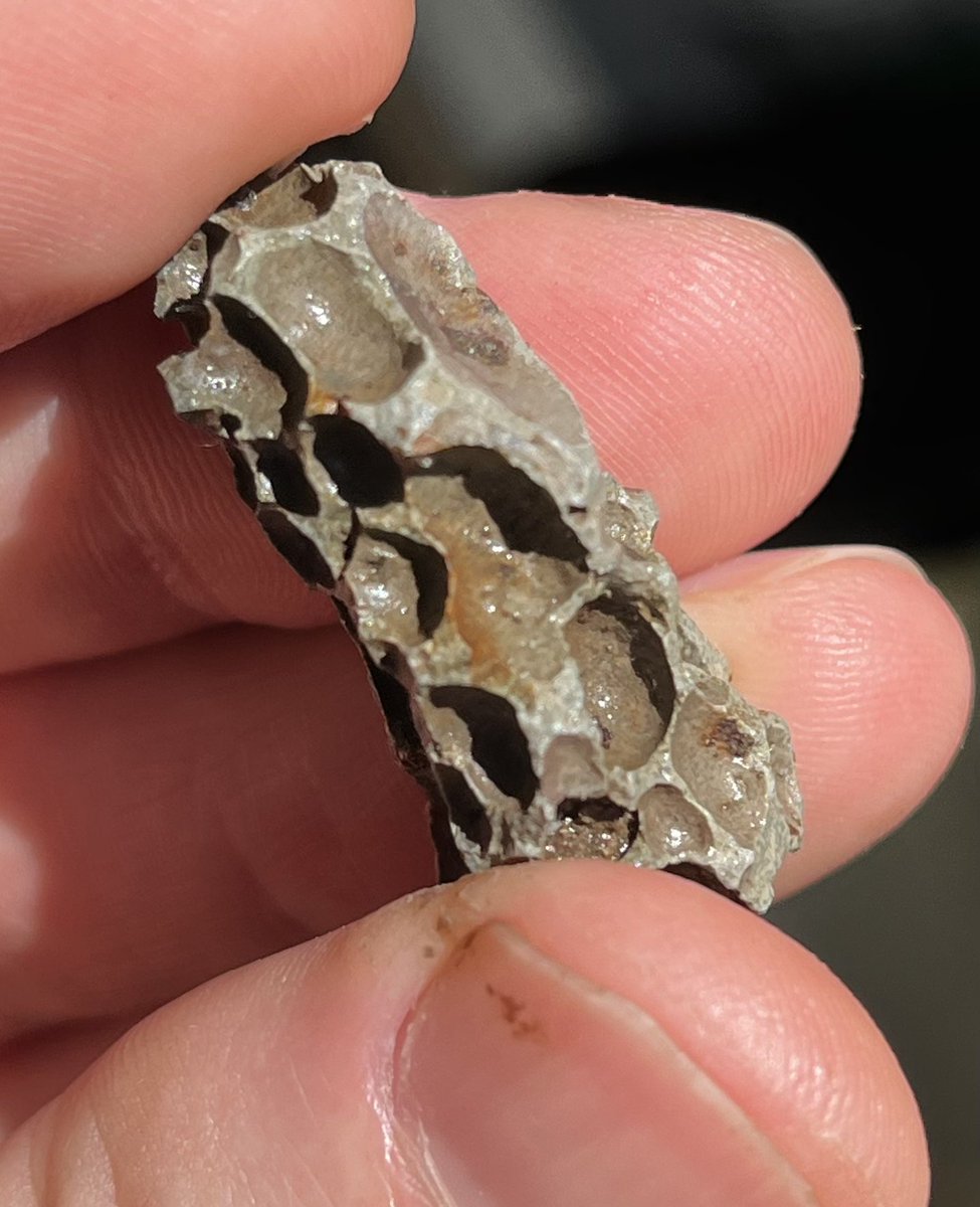 thespaceupdate's tweet image. Found this in the garden today. Dark grey bubbled stone with iron in it. 🤔 

I don’t want to jump the gun, but meteorite or not?? ☄️💫

#SpaceHour #Astrohour #TeamSpace #Meteor